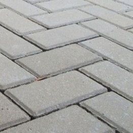 Paver Holandês